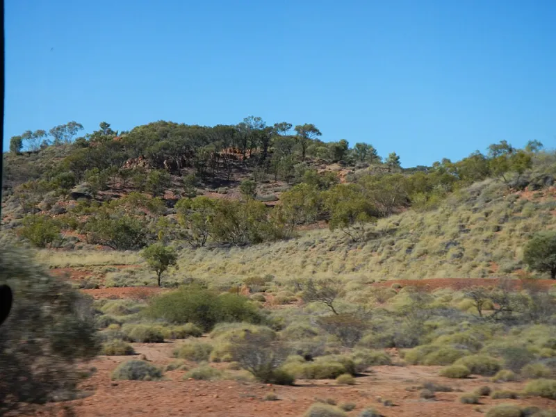 Dreamtime, Dingoes, and Digital Reels: The Rise of Australian Culture in Online Slots