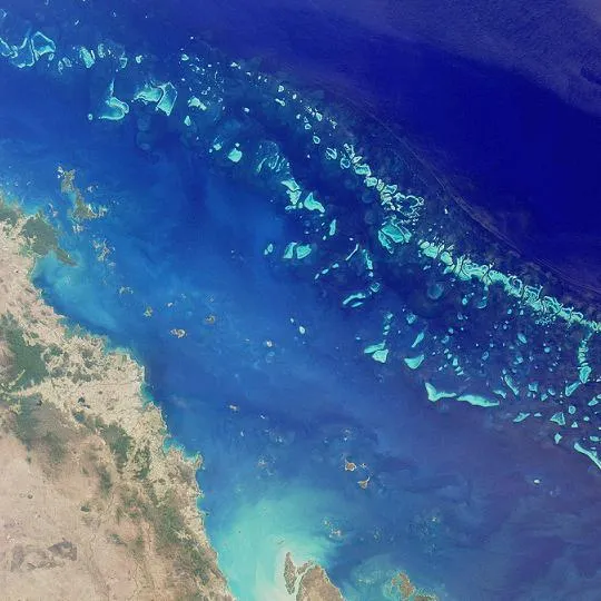 Where the Reef Meets the Reels: Five Ocean Pokies Aussie Players Can't Quit
