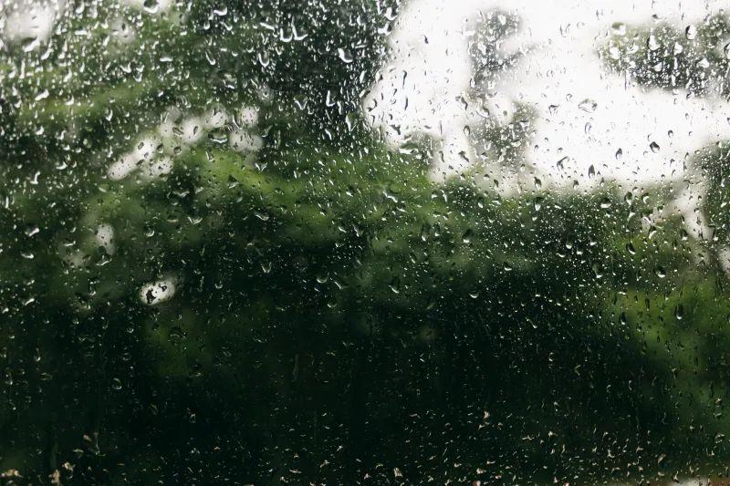 When the Rain Rolls In, the Reels Roll On: Australia's Wet Season Gambling Habits Explained